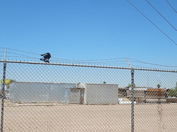 3rd image of 2114 W Monte Vista Rd