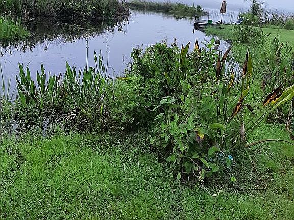 2nd image of 31548 Gladys Ln