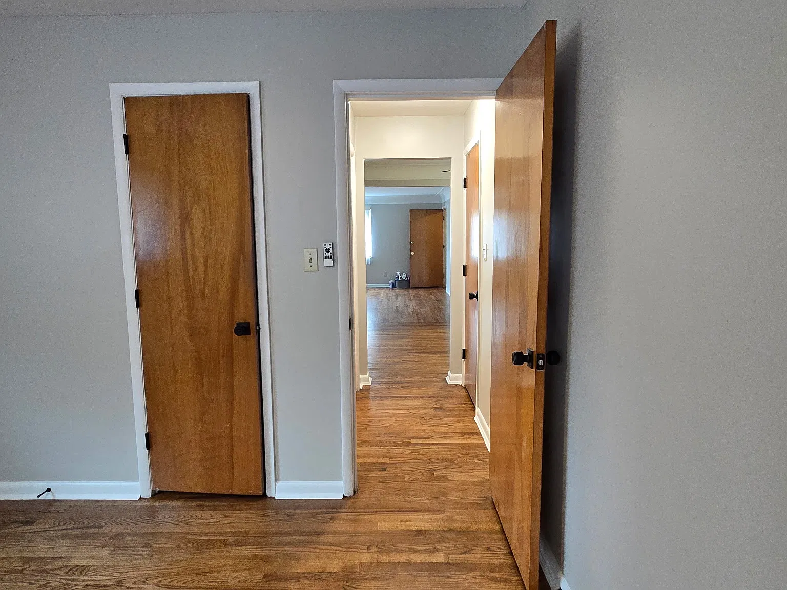1 bed, 800 sqft, $950 — Photo 2