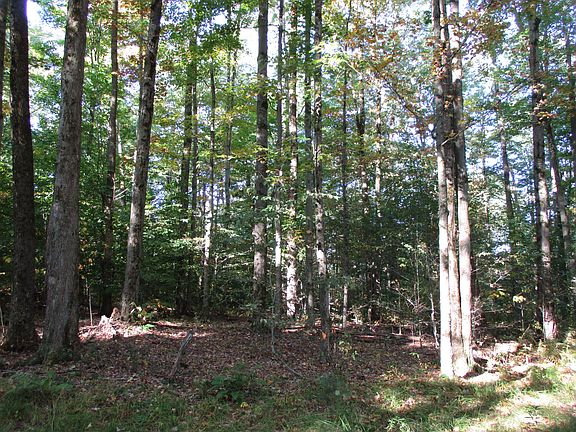 4th image of County Road 5