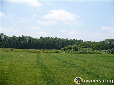 Back yard to the tree line