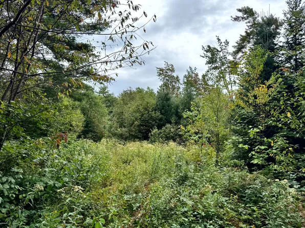 1.10 Mackay Rd #10, Constableville, NY 13325
