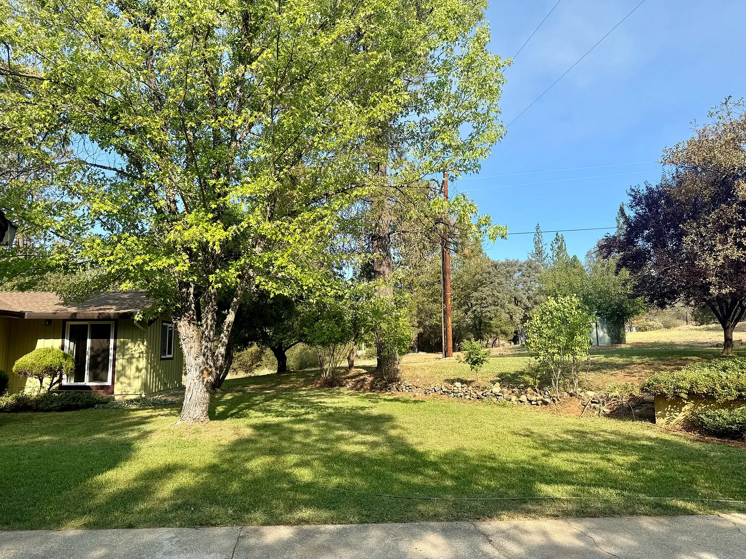 10070 Garesio Ranch Ln - 1 — Photo 3