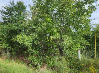 Homonu Ct Lot 105, Bastrop, TX 78602