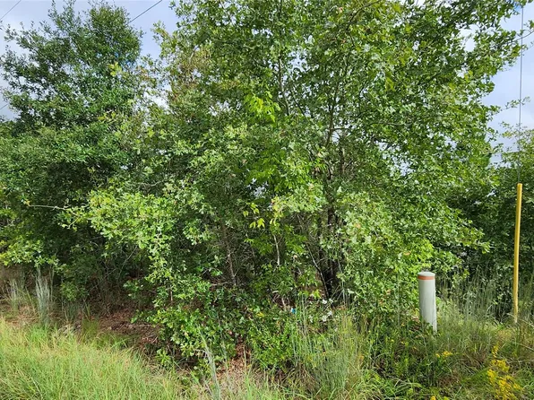Homonu Ct Lot 105, Bastrop, TX 78602