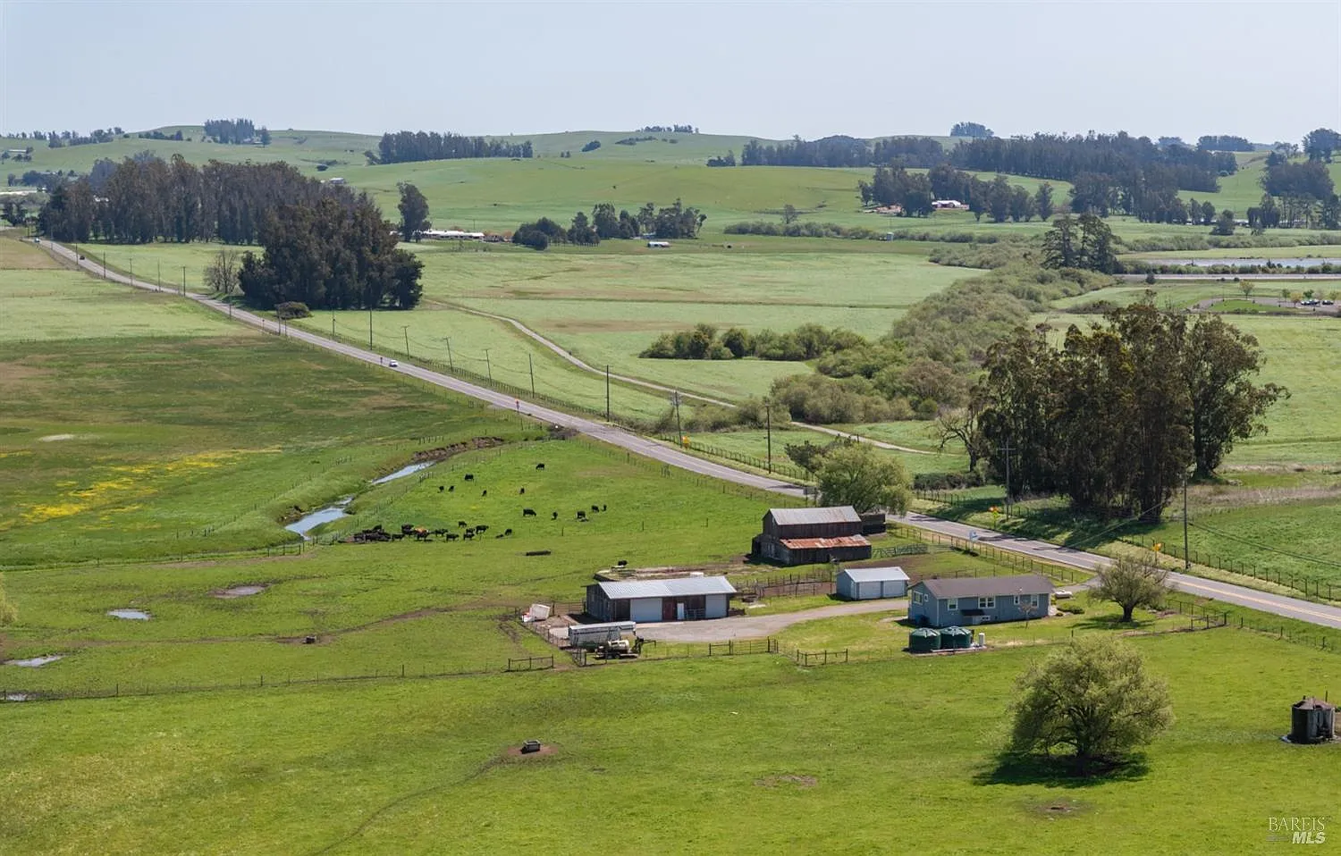 530 Tomales Road - Photo 8