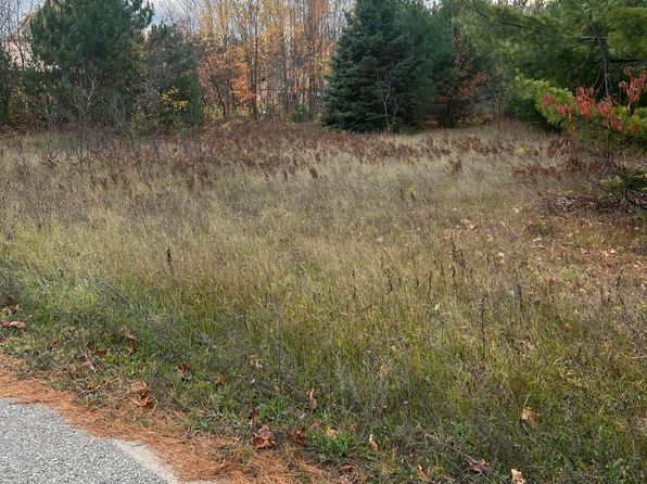 LOT 17 Sherry Lynn Dr LOT 17, Engadine, MI 49827
