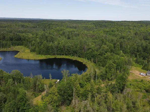 W4601 OLIVOTTI LAKE RD, Irma, WI 54442