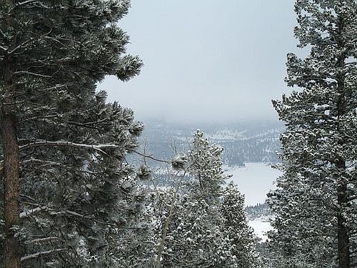 Valentine's Day 2008 - View from back porch