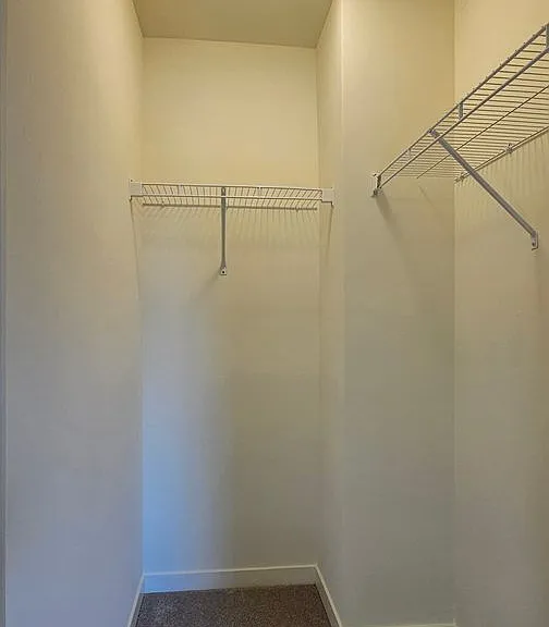 254 Timber Ridge Ct — Photo 11