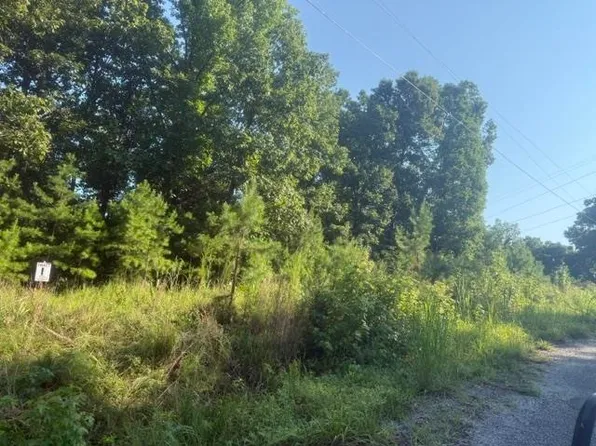 TRACT 1 Belew Hollow Rd, Waynesboro, TN 38485