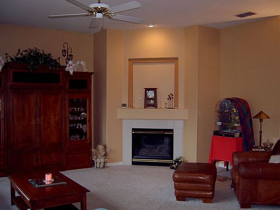 Gas Fireplace w/Remote
