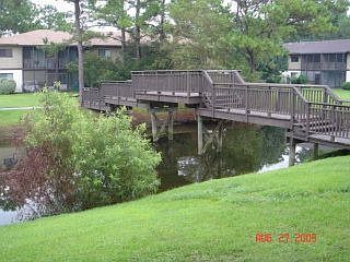View from back patio