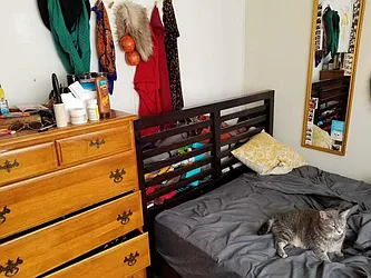 Rented by Arvik Group Real Estate