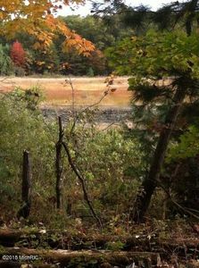 White Lake Dr, Twin lake, MI, 49457
