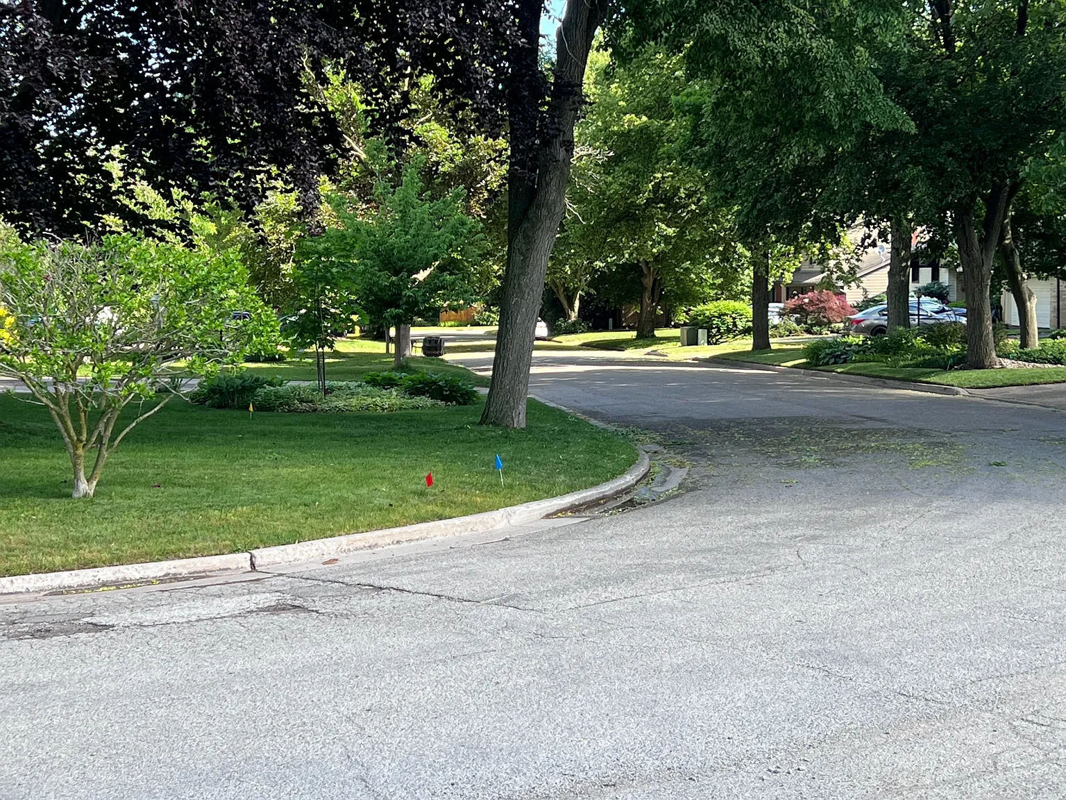 6 bed, $3,700 — Photo 2