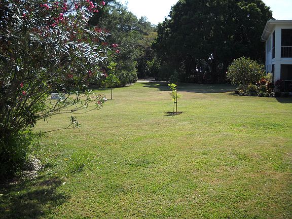 view from lanai