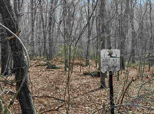 1240 Falcon Ridge Rd, Blacksburg, VA 24060