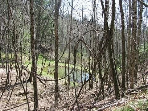 5th image of Lot 3 Sec 11 Talons Drive
