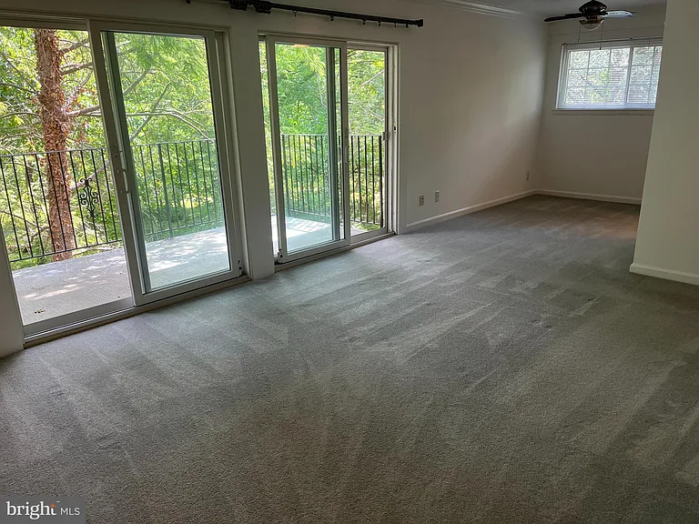 921 Prospect St #5 — Photo 29