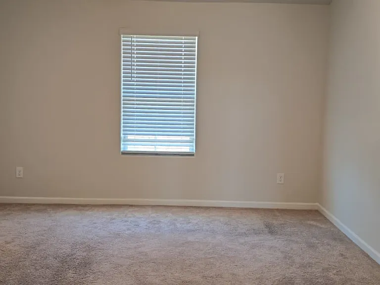 4715 Hazelburn Dr — Photo 9