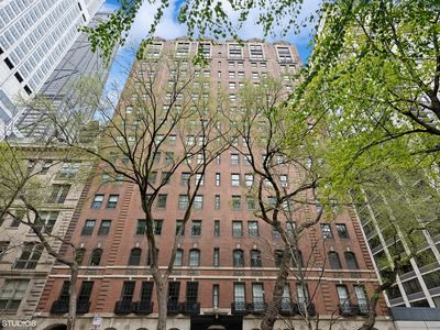 210 E Pearson St APT 15D, Chicago, IL, 60611