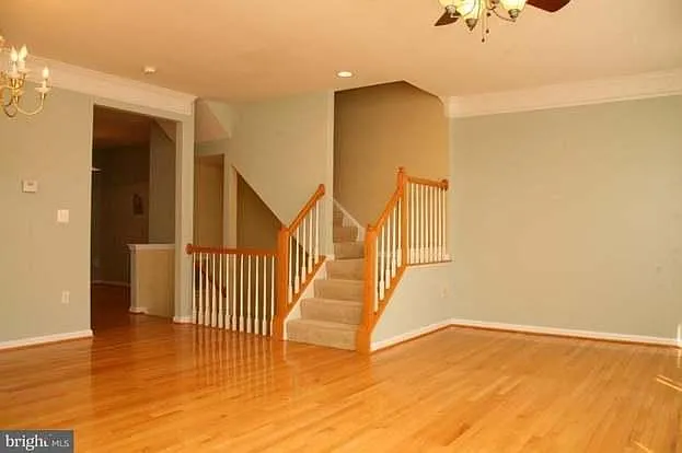 13600 Flying Squirrel Dr — Photo 12