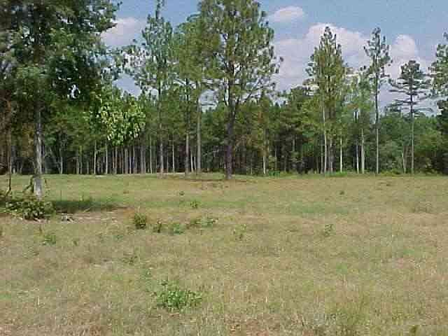 2nd image of TBD Youngs Road LOT 3