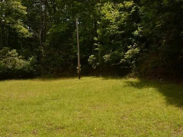 1032 Ruby Lake Dr, Hiawassee, GA 30546