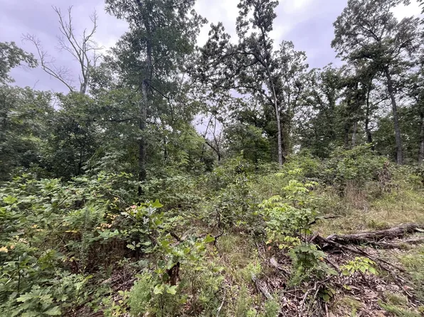 Partridge Dr, Climax Springs, MO 65324