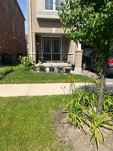 23 Francesco St Photo 1
