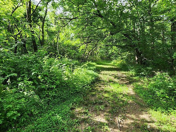 4th image of 318 Elk Creek Rd