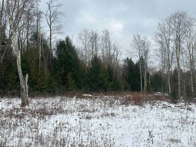 85 Gondola Ct, Davis, WV, 26260