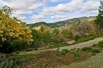 Deck View :: 125 Conifer Way