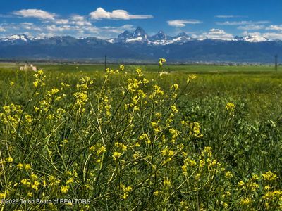 8600 Appaloosa Ridge Trl, Tetonia, ID, 83452