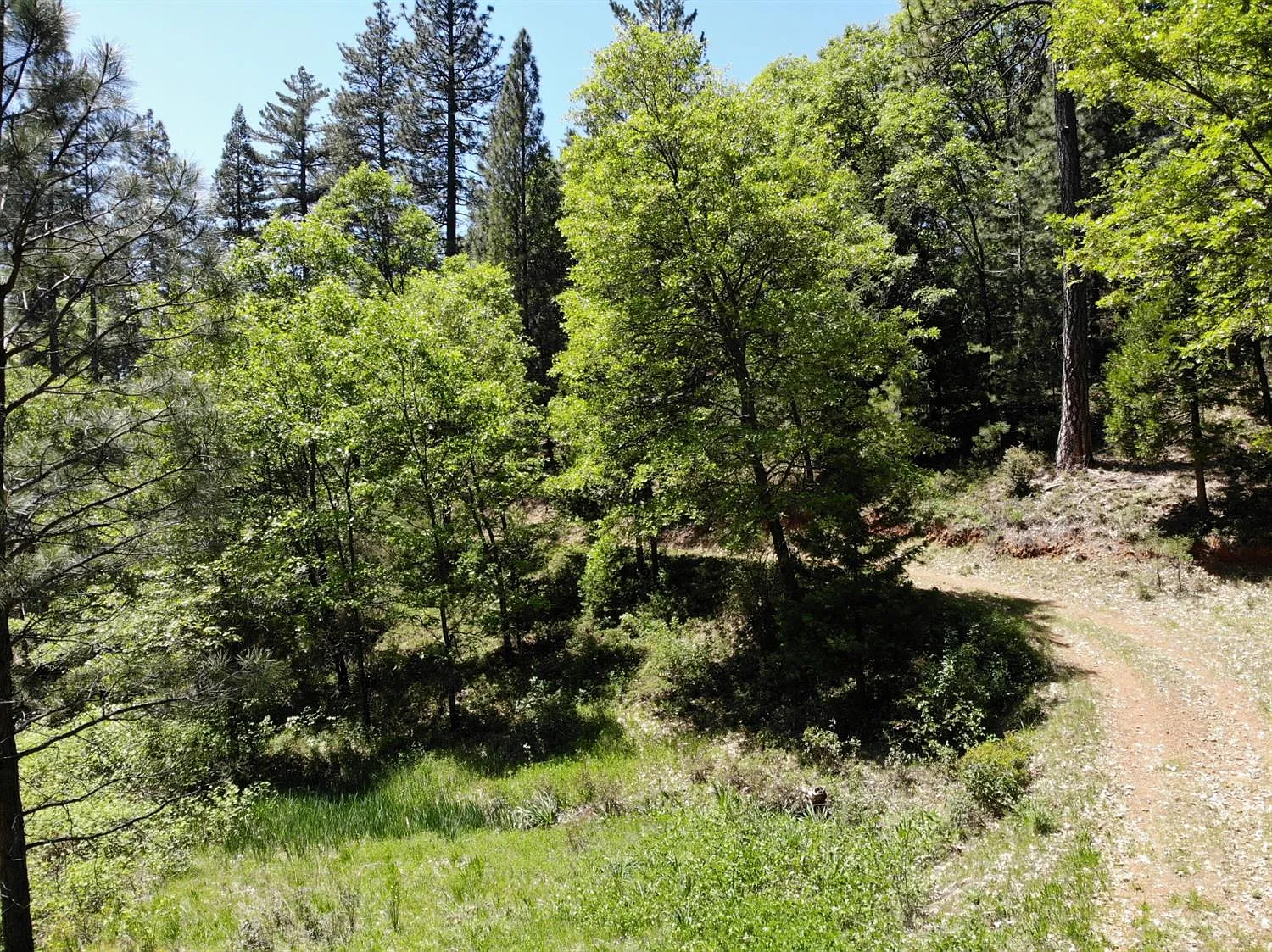 16459 Candace Ln photo 1