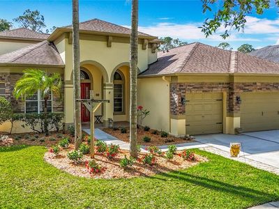 3620 Cordgrass Dr, Valrico, FL, 33596