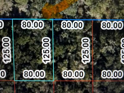 Ne Pl #O, Williston, FL, 32696