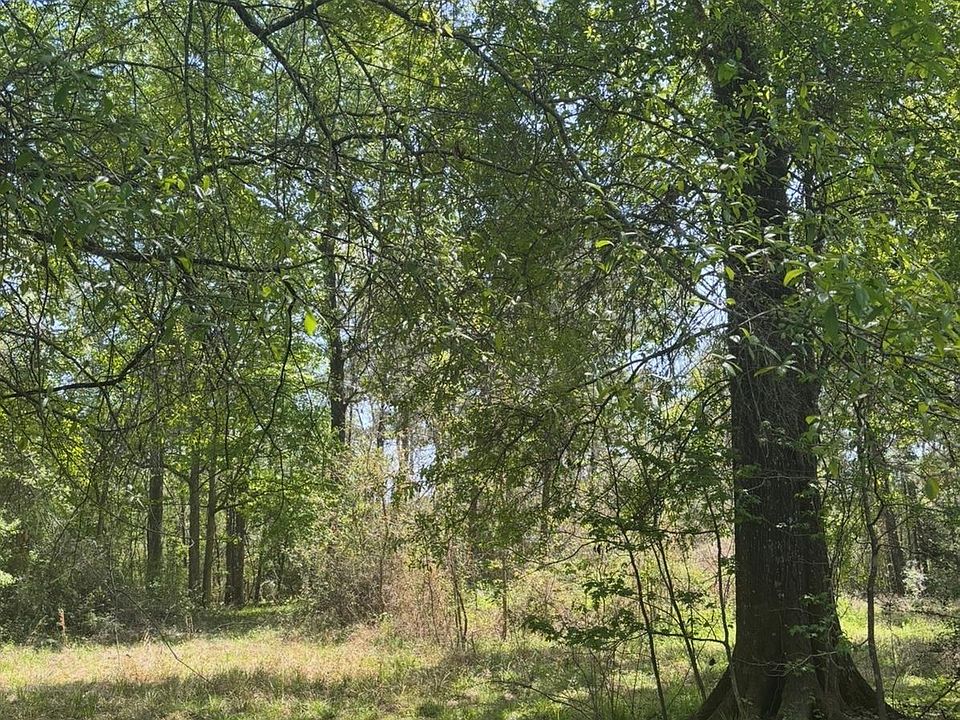 1st image of 668 County Road 647