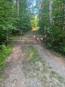 Backus Mountain Rd, Meadow Bridge, WV, 25976