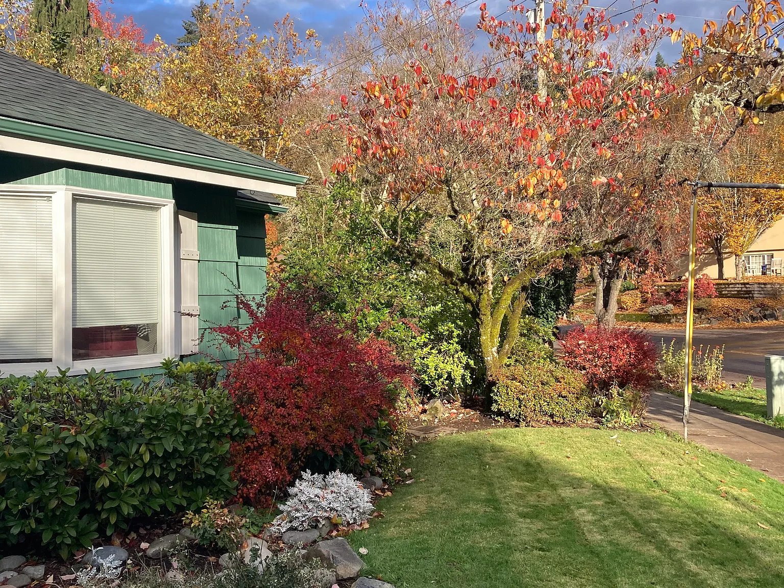 Fairmount Blvd, Eugene — Photo 3