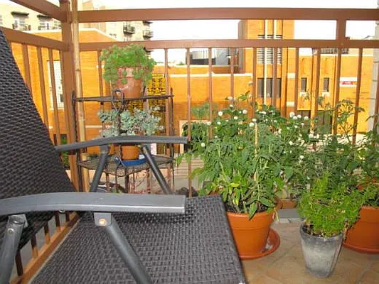 Rented by Dream Space Realty | media 24