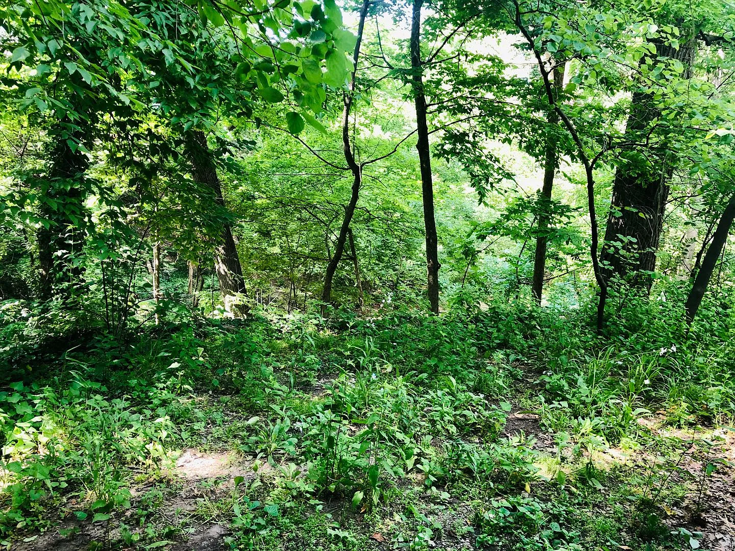 2034 Iuka Ave. — Photo 4