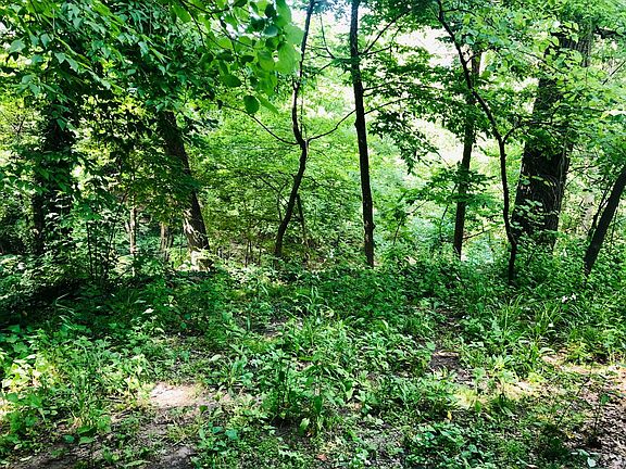 4th image of 2034 Iuka Ave