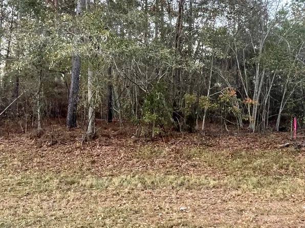 0 Canoochee Byp, Twin City, GA 30471