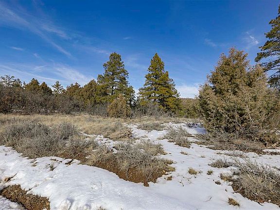 2nd image of 783 Gun Barrel Road