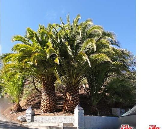 3rd image of 31415 Anacapa View Dr