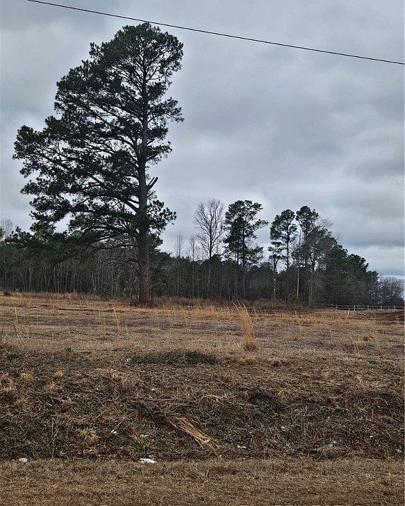 2nd image of 4 Odum Rd