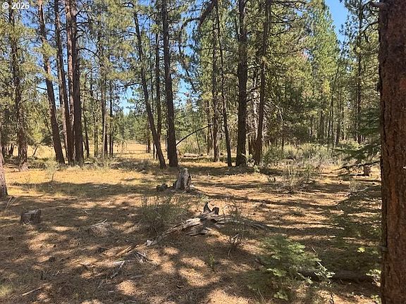3rd image of Whitetail Ln Lot 3