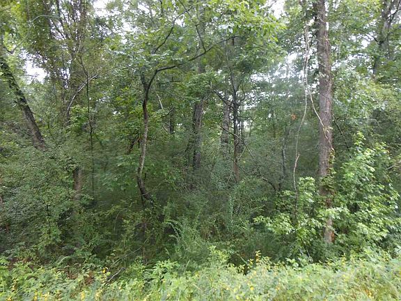 3rd image of 295 Sturgis Mill Dr S